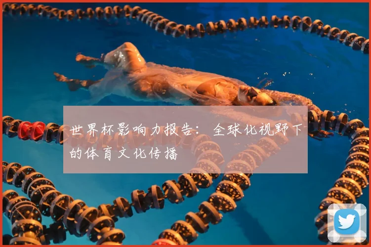 世界杯影响力报告：全球化视野下的体育文化传播