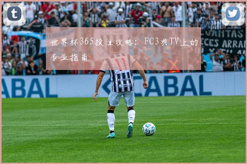 世界杯365投注攻略：FC3典TV上的专业指南