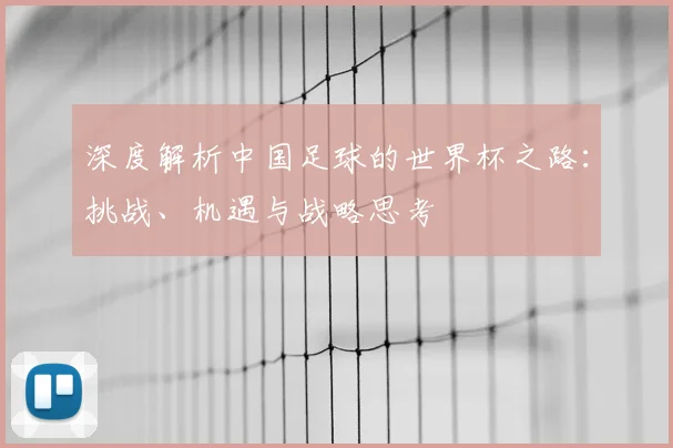深度解析中国足球的世界杯之路:挑战、机遇与战略思考