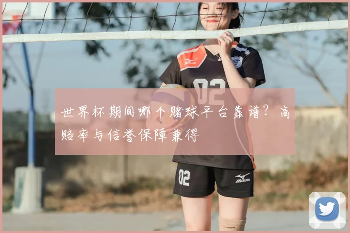 世界杯期间哪个赌球平台靠谱？高赔率与信誉保障兼得